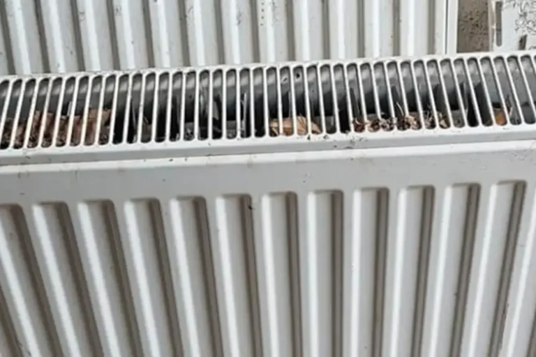 hurda kalorifer peteği hurdası alımı