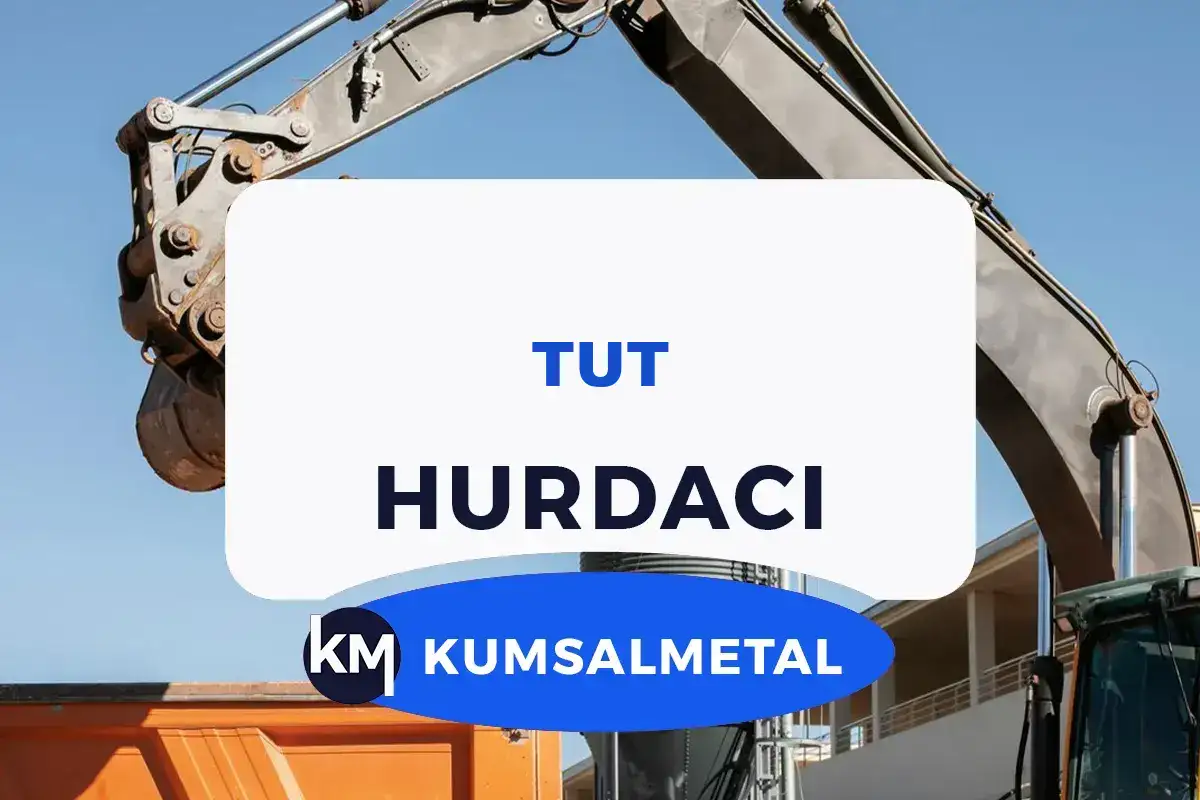 Tut Hurdacı